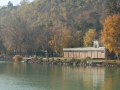2010_1