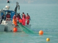 2011_3